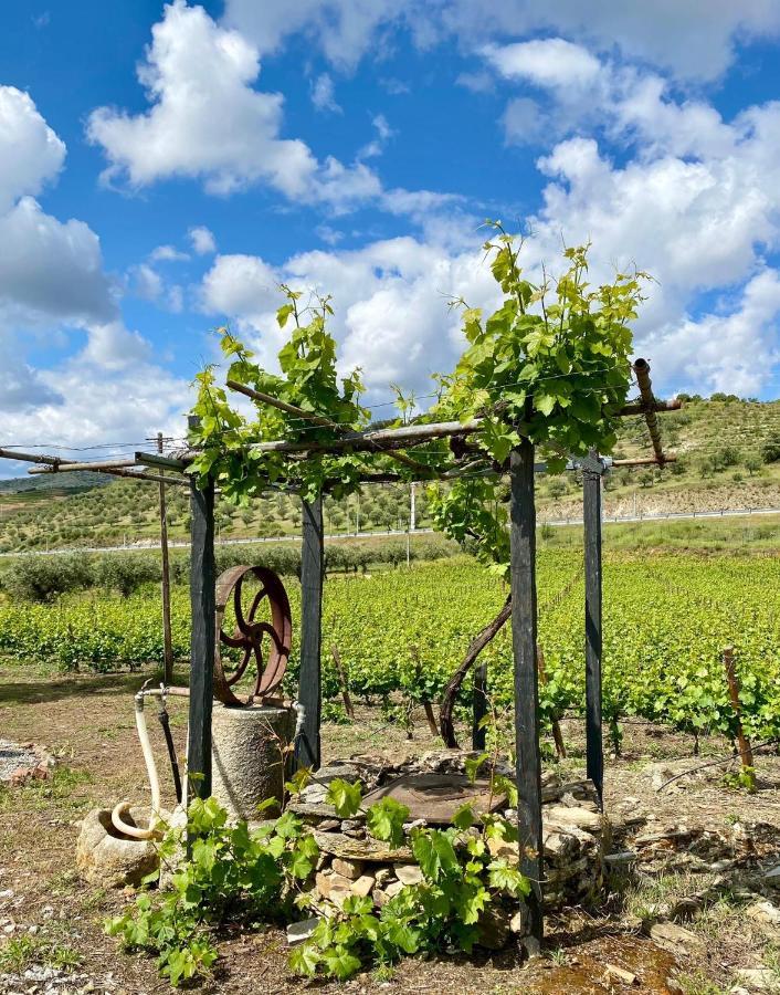 فيلا Quinta Do Chao D'Ordem فيلا نوفا دي فوز كوا المظهر الخارجي الصورة