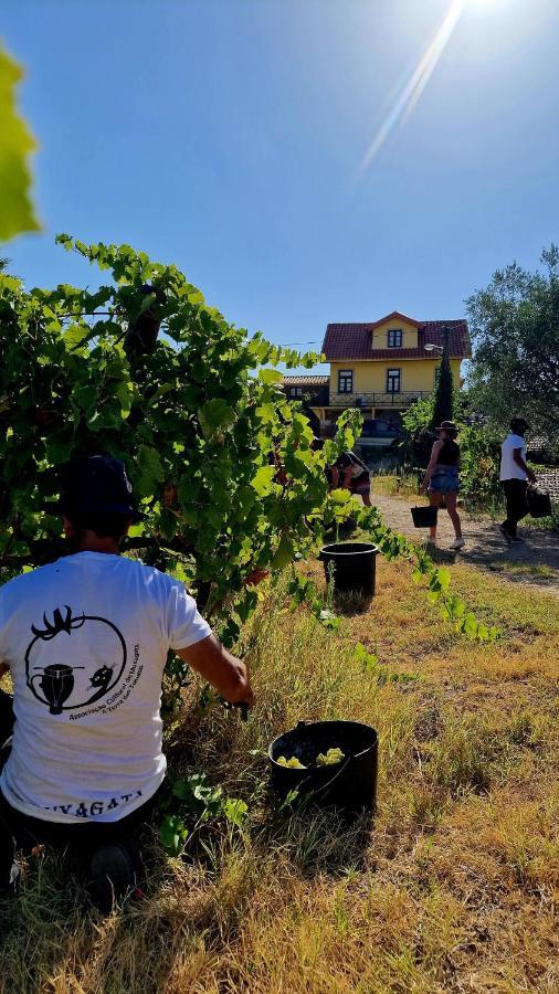 فيلا Quinta Do Chao D'Ordem فيلا نوفا دي فوز كوا المظهر الخارجي الصورة